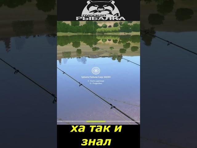 #shorts  #ха так и знал# Russian Fishing 4#