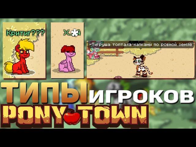 ТИПЫ ИГРОКОВ в ПОНИ ТАУН (тестовое видео)