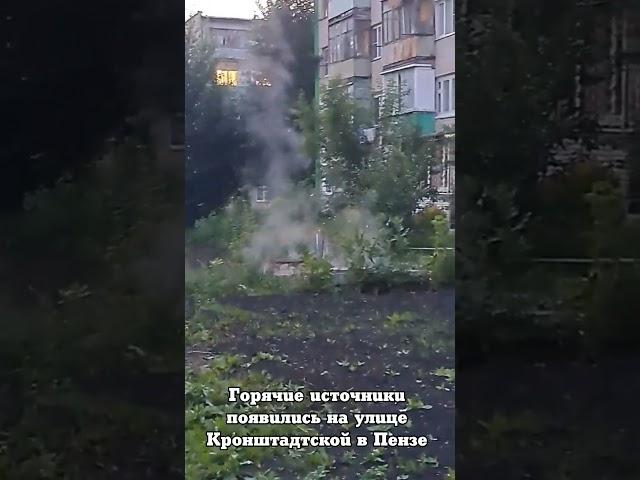 Горячие источники появились на улице Кронштадтской в Пензе