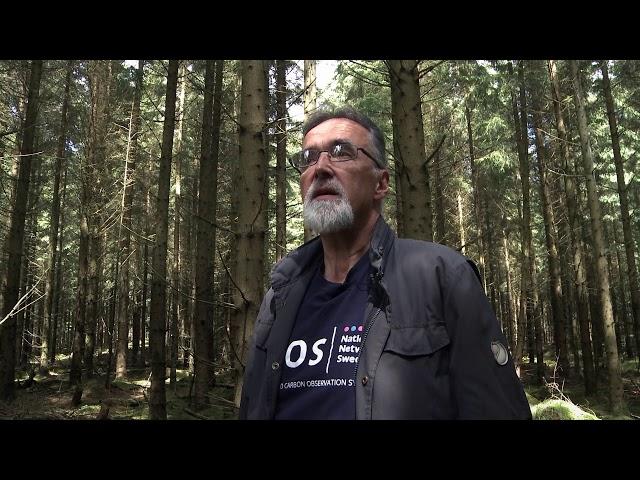 Clearcutting Emits Huge Amounts of Carbon - Anders Lindroth (ICOS)