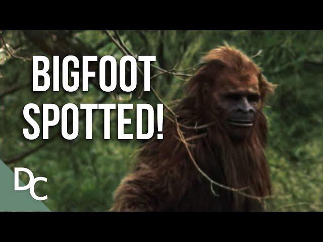 Shocking Bigfoot Sighting Evidence! | Bigfoot Encounters | Full HD | Documentary Central