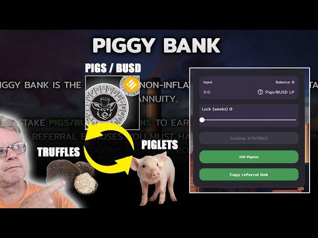 PIGGY BANK | THE ANIMAL FARM - Piglets and Truffles compound and Grow