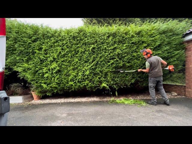 Homeowners Overgrown Hedge had not been Cut for 3 Years!