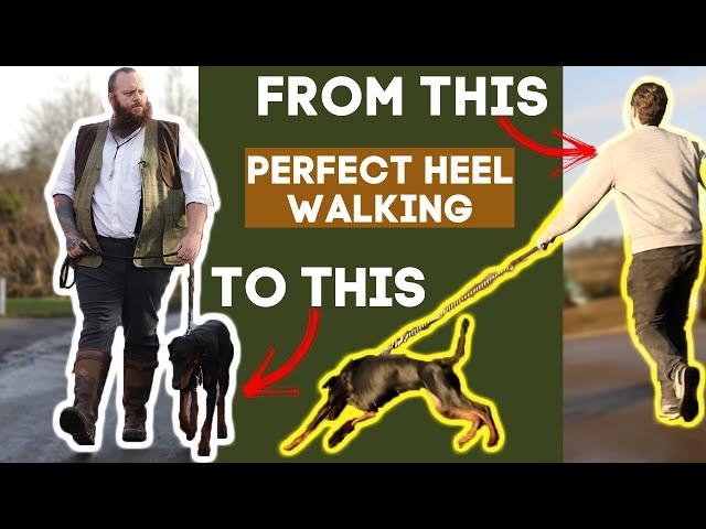 How To Teach Your Dog To Walk To Heel In Seconds