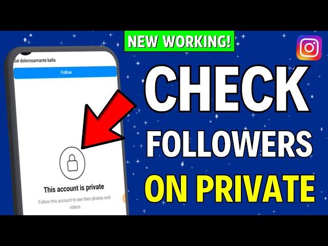 How to Check Followers on Private Instagram Account (2024)