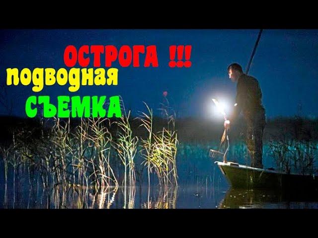 ОСТРОГА!!! подводная съемка!! ЗАКРЫТИЕ СЕЗОНА.