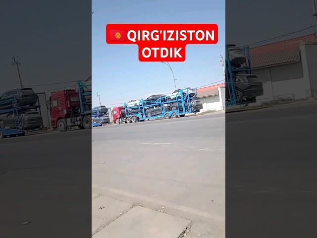 NAMANGAN MOLBOZOR QOYBOZOR INSTAGRAM TIKTOK REMIX #chorva #bull #tiktok #instagram #rek #remix#cow