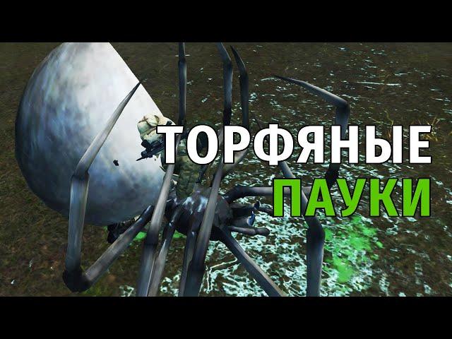 108. Торфяные Пауки. Сталкер Онлайн | Stalker Online | Stay Out. RU2.