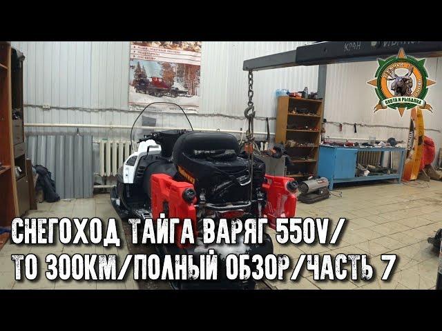 Снегоход Тайга Варяг 550V/Первое ТО на 300км поэтапно/Ответы на ваши вопросы