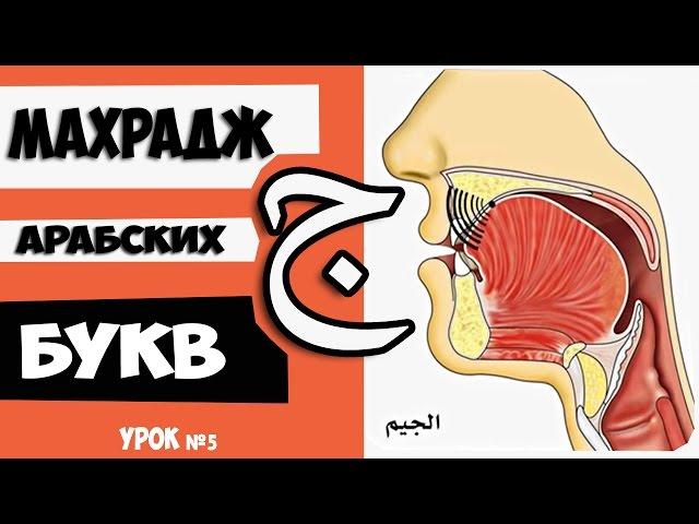 Махрадж Букв Урок №5 буква "ج" и практика