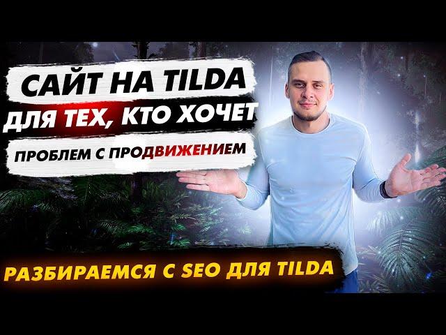 Подводные камни при SEO оптимизации и продвижении сайта на Tilda