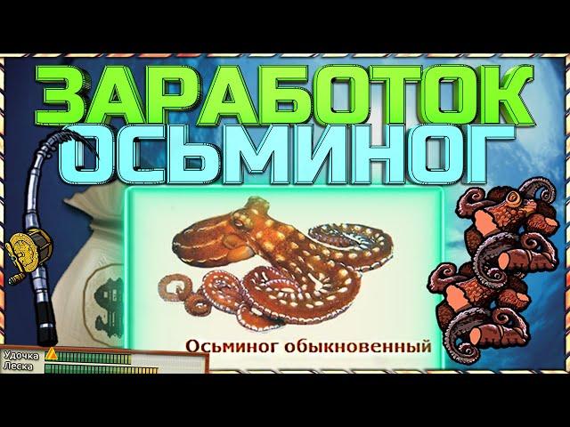 РР3 ТОП ЗАРАБОТОК НА ВОСТОЧНОМ КРИТЕ - ОСЬМИНОГ ОБЫКНОВЕННЫЙ!