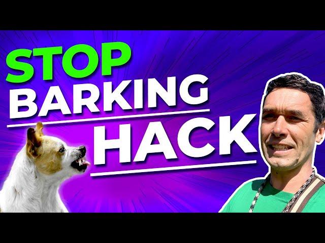 How to stop a dog barking