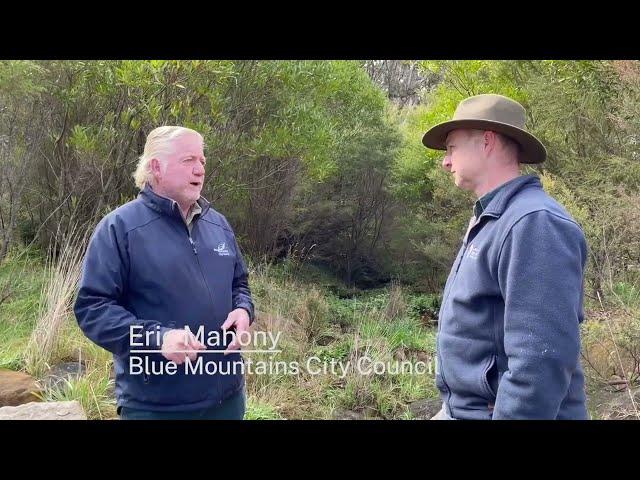 Weed management in the Blue Mountains