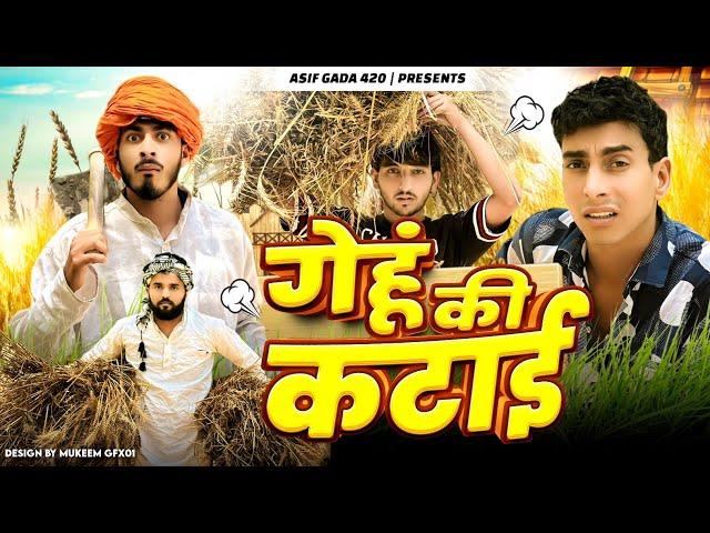 गेहूं की कटाई  | Gehu ki Katayi  | Asif 420 Comedy | Asif Gada 420 | Titla 420