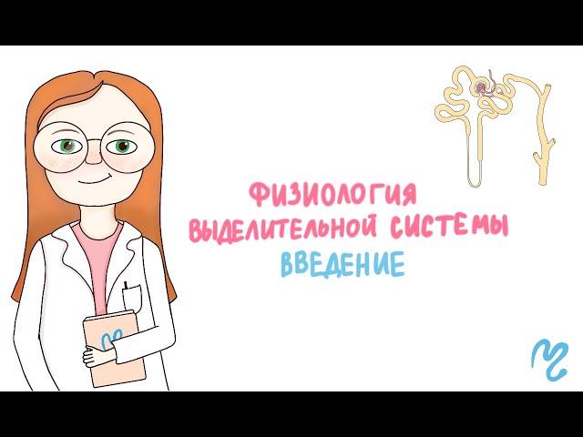 Физиология выделительной системы. Введение