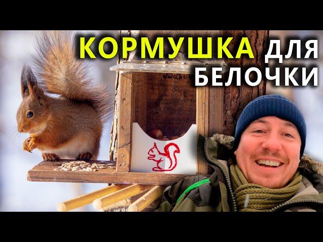 Кормушка для белочки