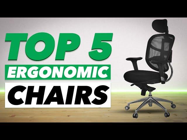 Top 5: Best Ergonomic Chair (Budget)