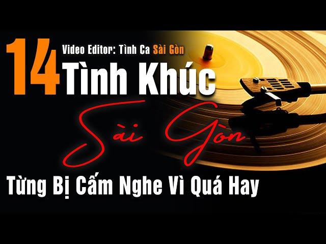 14 Tình Khúc Phòng Trà Hải Ngoại Từng Bị Cấm Nghe Vì Quá Hay | Tình Ca Sài Gòn Thay Lời Muốn Nói