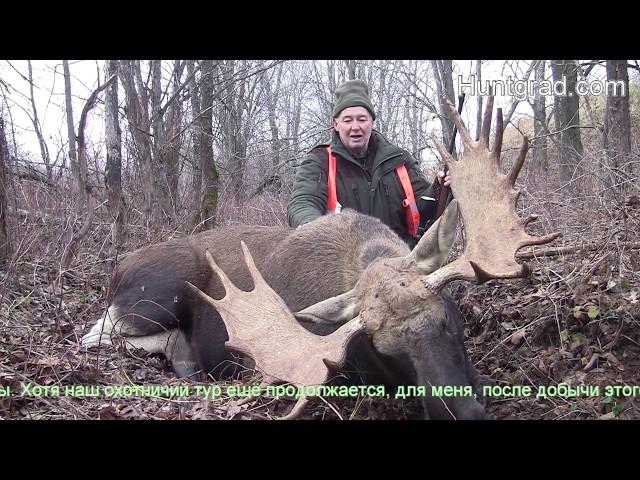 Отзыв 2019 загонная охота Drückjagd auf Elchwild