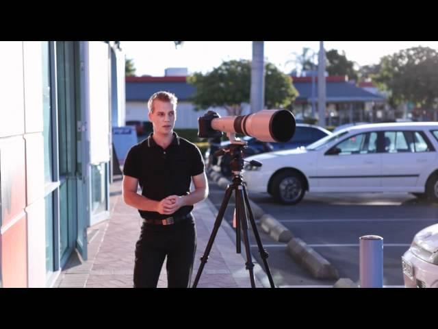 Canon EF 800mm Lens Review | Cameras Direct Australia