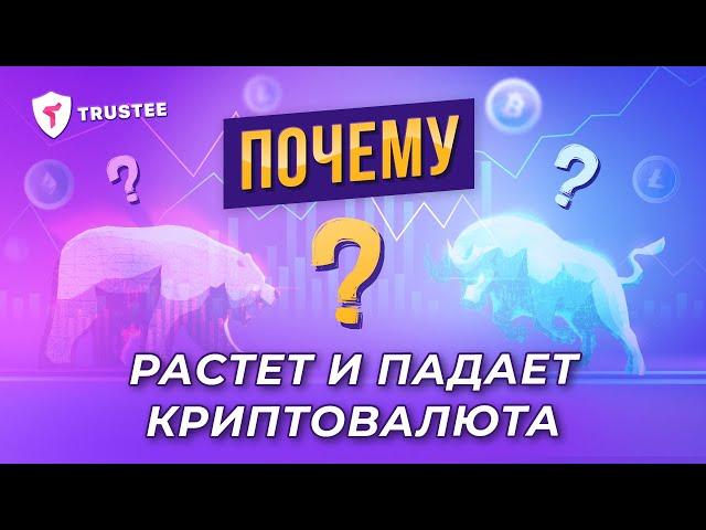 Почему растет или падает Криптовалюта | Рост и Падение Биткоина