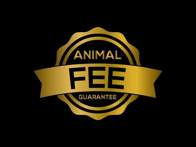 Larsen Properties Animal Fee Guarantee: San Antonio Property Management