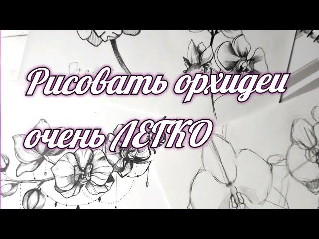 Как рисовать орхидеи СКЕТЧИНГ видеоурок орхидеи построение , графика Орхидея