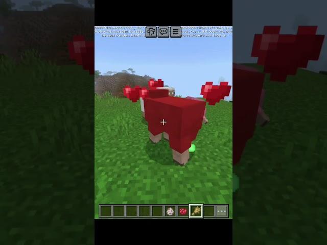 Minecraft Best Update #shorts