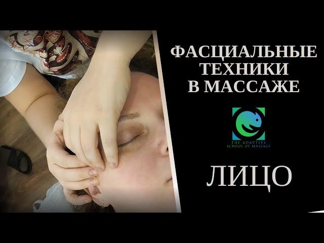 МАССАЖ ЛИЦА. Фасциальные техники. Татьяна Яковлева