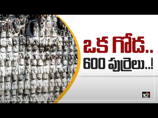 ఒక గోడ.. 600 పుర్రెలు..! | OffBeat News | 10TV News