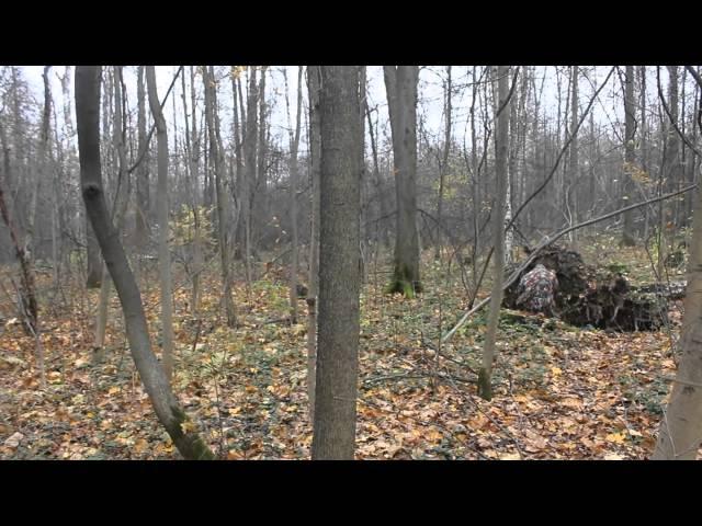 Review Switzerland camouflage Alpentarn in Russian forest [HD]