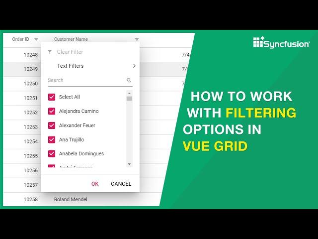 How to work with Filtering Options in Vue DataGrid