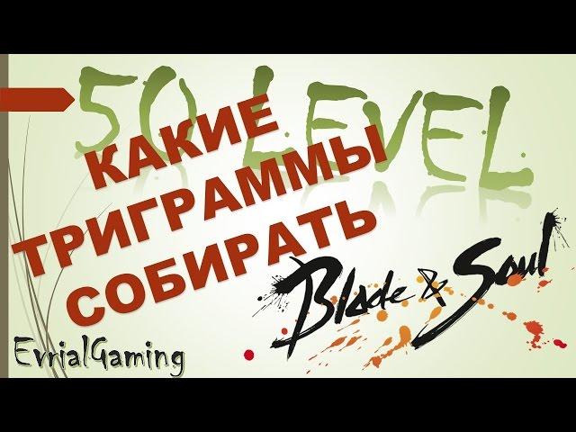 ТОП Сборка ТРИГРАММЫ БАГУА 50й Уровень Blade and Soul Белые Горы