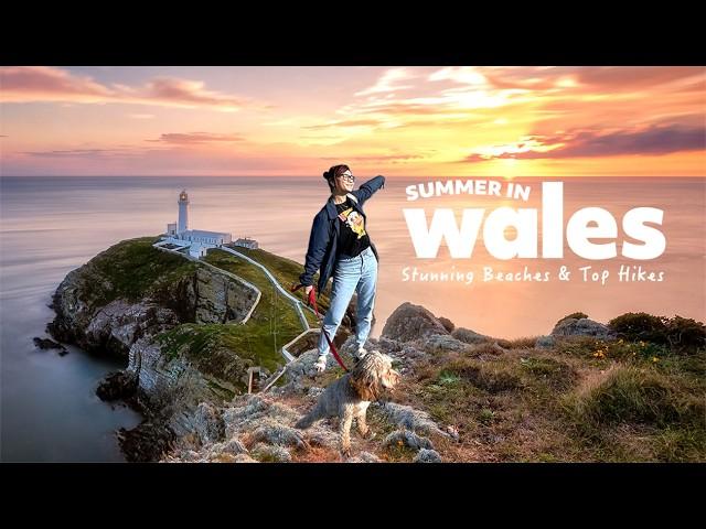 You should visit Wales - Top Beaches & Hiking Vlog