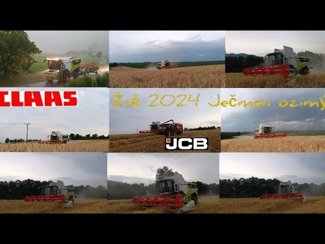 Žně 2024 // Ječmen ozimý, Claas Lexion 6700 year 2023,6600, John Deere 6175m, JCB Fastrac 4220