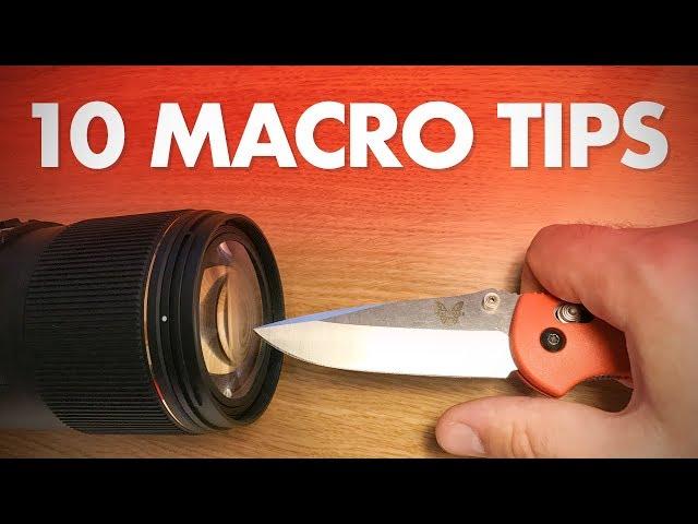 My 10 Best Macro Photography Tips for Beginners