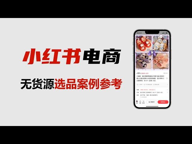 小红书无货源电商全套教程拆解，小红书无货源开店的选品推荐，利润对比，快速打造小红书爆品