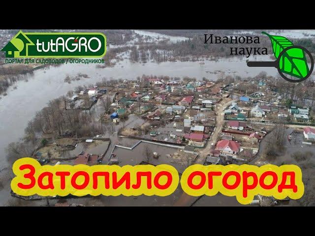 ВОССТАНОВЛЕНИЕ УЧАСТКА ПОСЛЕ ПОТОПА: что внести в почву после затопления огорода.