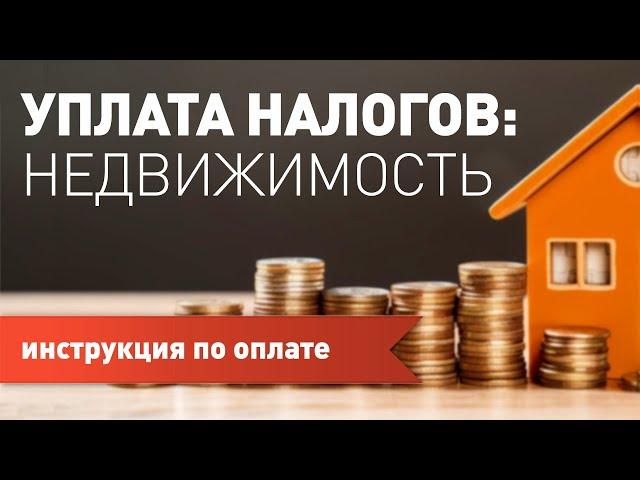 Как оплачивать налог на недвижимость в Калифорнии