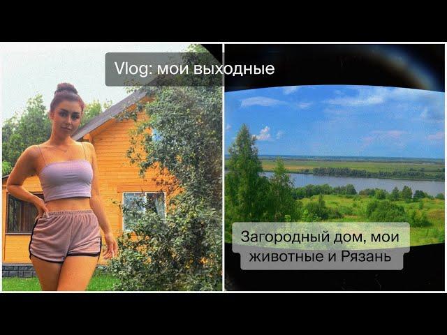 Vlog: уехала в Рязань. Новый дом и мои животные