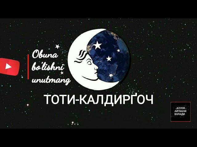 ТУШДА [ТОТИ-КАЛДИРҐОЧ] КУ́РСА...