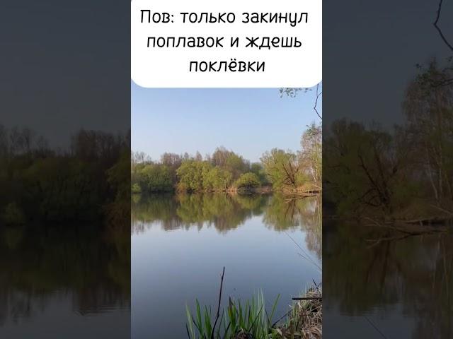 #карп #прикол #рыбалка #обзор #юмор #мем #рыбалкавидео #рыболовная #жиза #fishing