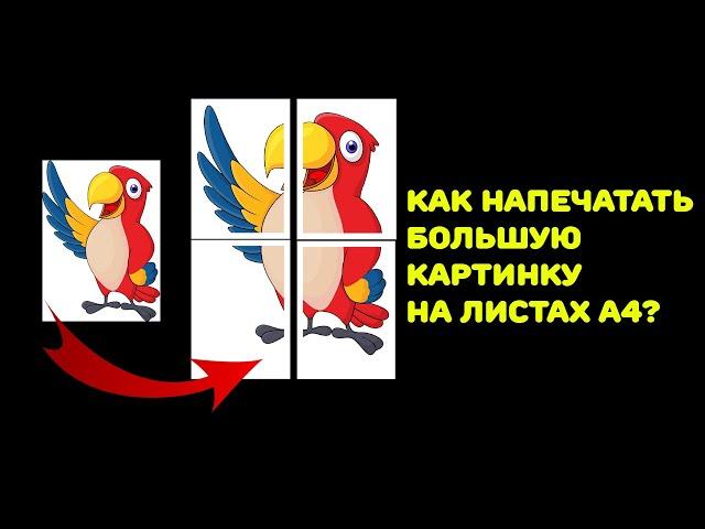 Как распечатать большую картинку на листах формата A4?