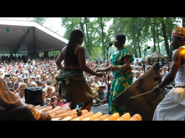 Kasai Allstars - Salute to Kalombo - LIVE at Afrikafestival Hertme 2015