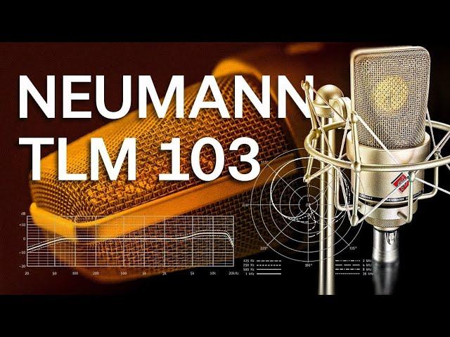 Neumann TLM103  История Тест. Опыт 10 лет использования.