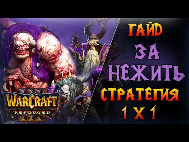 Универсальная стратегия против всех рас  \\  Warcraft 3 Reforged - Гайд за Нежить