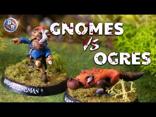 NEW Bloodbowl Team Gnomes vs Ogres