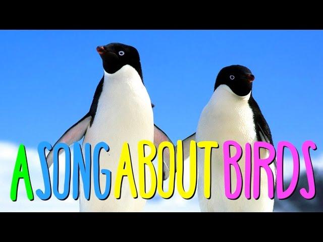 "A SONG ABOUT BIRDS"