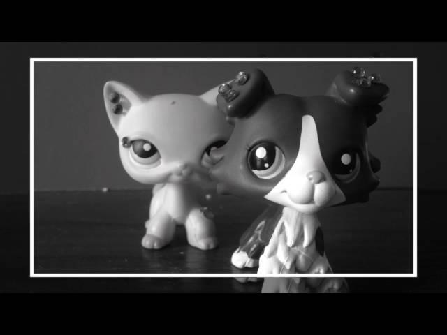 Lps music video: " Hide & Seek "